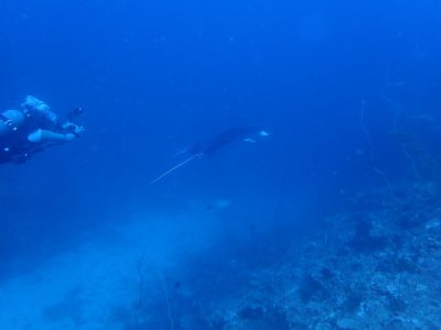 IMG_9780.jpeg