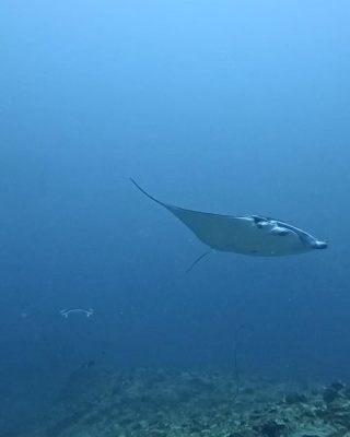 IMG_3057.jpg