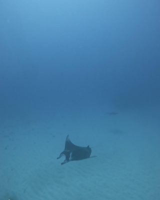 IMG_0267.jpeg