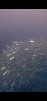 IMG_0695.jpeg