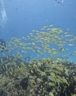 IMG_9152.jpeg