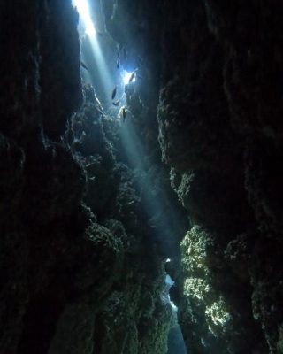IMG_9154.jpeg