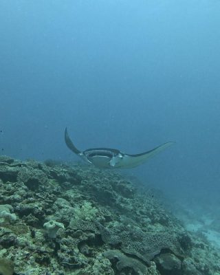 IMG_9248.jpeg