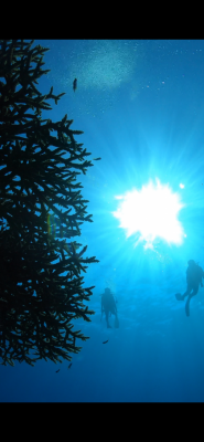 image0_7.png