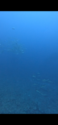 image0_8.png