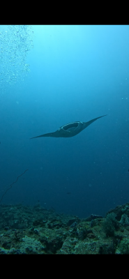 image0_9.png