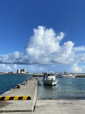 IMG_0605.jpeg