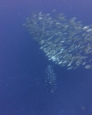 IMG_1434.jpeg