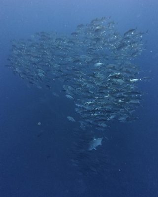IMG_1435.jpeg