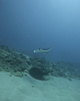 IMG_1483.jpeg