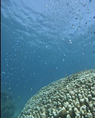 IMG_1492.jpeg