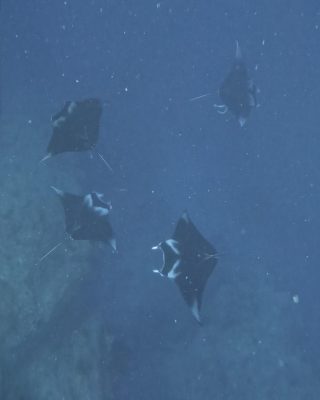 IMG_1572.jpeg