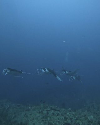 IMG_1573.jpeg