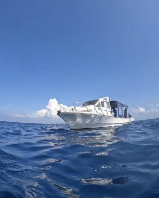 IMG_1592.jpeg