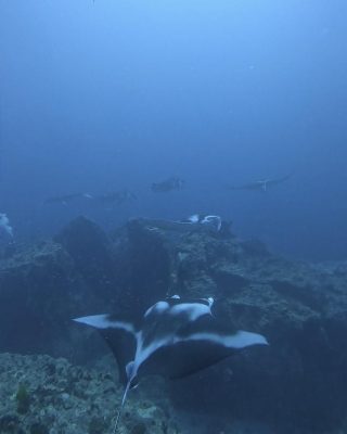 IMG_1710.jpeg