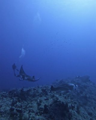IMG_1711.jpeg
