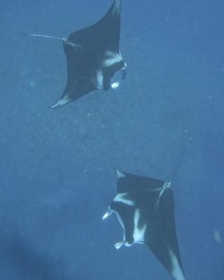 IMG_1878.jpeg