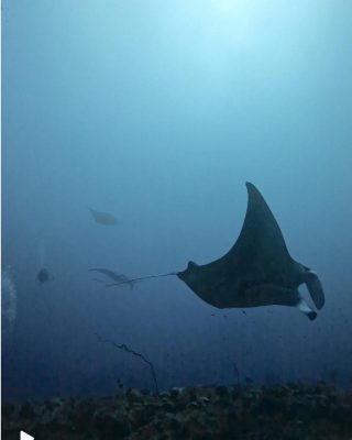 IMG_2088.jpeg