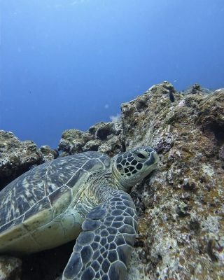 IMG_2158.jpeg