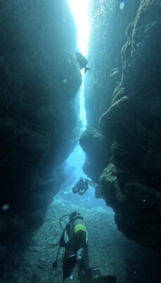 IMG_2224.jpeg