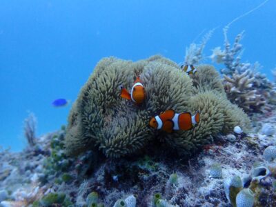 IMG_2270.jpeg
