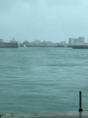 IMG_2668.jpeg