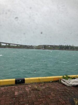IMG_2670.jpeg