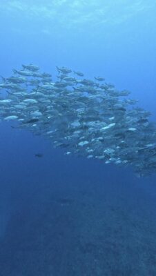 IMG_2884.jpeg