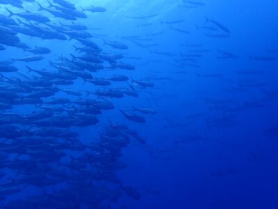 IMG_2903.jpeg