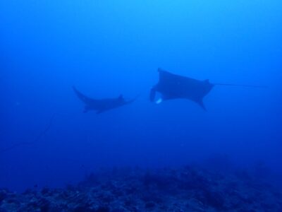 IMG_2904.jpeg