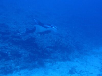 IMG_2974.jpeg