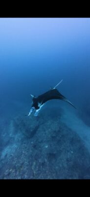IMG_3195.jpeg