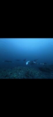 IMG_3204.jpeg