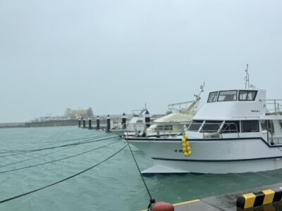 IMG_3281.jpeg
