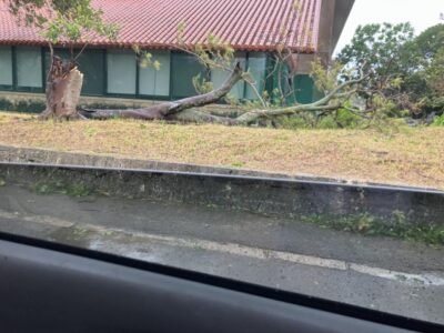 IMG_3285.jpeg